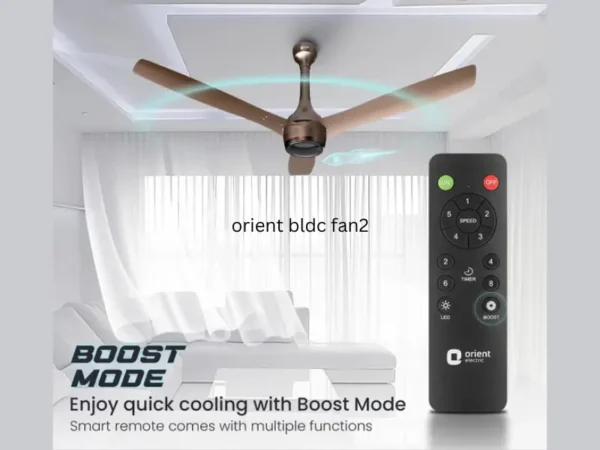 Orient Aeon Antidust BLDC 1200mm Ceiling Fan-Tangerine Brown - Image 3